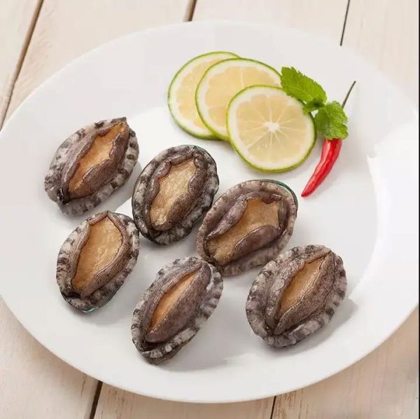 bao ngu tuoi