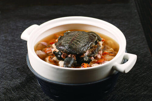 甲鱼炖鸡汤